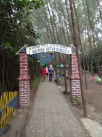 Hutan Mangrove Pantai Alam Indah Tegal