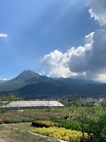 Mall Bunga Sidomulyo