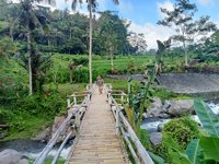 Palengs Bali , Snorkeling & Fishing Activities