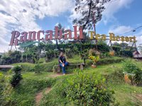 Pemandian Air Panas Walini / Rancawalini