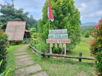 Rumah Pohon Waai