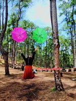 Wisata Hutan Pinus Rombeng