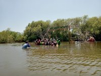 Ekowisata Mangrove Mulyo Asri