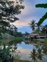Kolam Pemancingan Semeng