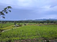 Wisata Atas Awan Banaran