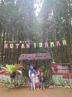 Hutan Damar