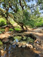 Wisata Belik Mudalrejo