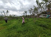 Agrowisata Kota Batu