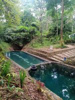 Sendang Wangi Sumber Agung