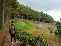 Wisata Puncak Bintang
