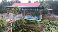 Lotus Garden Merauke