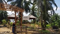 Kampung Agrinex (agrinexfarm & Farmstay)