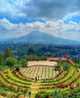 Agrowisata Kopeng Gunungsari