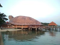 Kura-kura Ocean Park