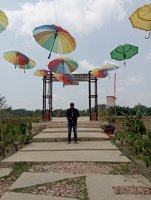 Wisata Lumbung Padi