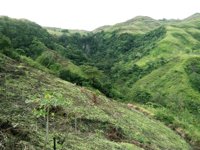 Air Terjun Kalikupandi
