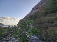 Batu Hun Termanu Rote Ndao