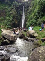 Air Terjun Curug Ciismun Kebun Raya Cibodas, Brin