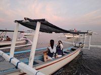 Dolphin Watching Lovina