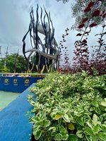 Suroboyo Skate & Bmx Park