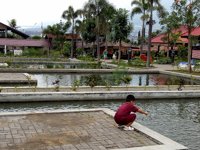 Wisata Bunga Sidomulyo