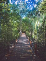 Pantai Pasir Putih Teluk Singkama