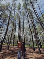Hutan Pinus Napu