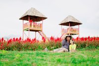 Kampoeng Wisata Yasaman Cindo