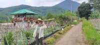 Indieu Wisata Kebun Strawberry Lembang Bandung