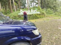 Timberland Bike Park