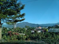 Wisata Petik Apel Agro Rakyat