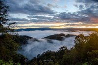 Gunung Petik Bintang Maybrat