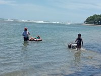 Pantai Sindangkerta