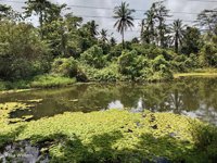 Telaga Indah Makotyamsa Kabupaten Sorong