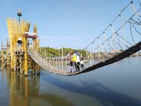 Mangrove Jembatan Api-api (mjaa)