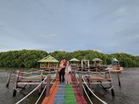 Wisata Hutan Mangrove Dewi Biringkassi