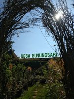 Wisata Petik Mawar Berkah