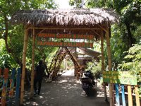 Wisata Papringan Kalikerto Singgahan