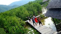 Kawasan Wisata Mangrove