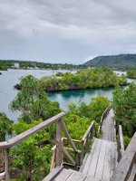 Tanjung Bongo - Raja Ampat Mini