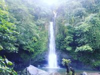 Curug Luhur , Landbouw