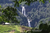 Air Terjun Cunca Lega