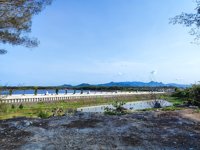 Pantai Congot