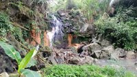 Curug Kuning