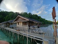 Bird Watching Saporkren