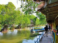 Sungai Rindu & Hutan Mangrove Sembilangan