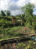 Hidden Best River View