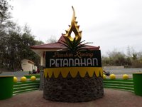Pantai Petanahan