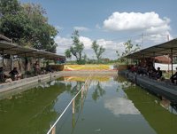 Pemancingan Sumber Mas