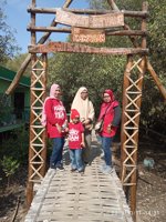 Wisata Hutan Mangrove